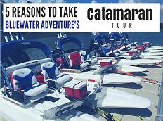 Bluewater Adventure Featured Photo