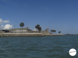 sightseeing on a boat tour