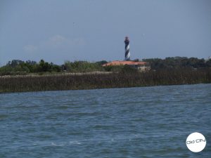 sightseeing on a boat tour