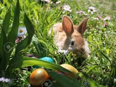 Easter Egg Hunt, Brunch, & More