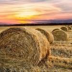 Fall - Hayrides