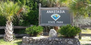 Anastasia State Park Summer Concert Series