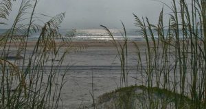 Anastasia State Park Seaoats and Dunes by Robert Vazquez