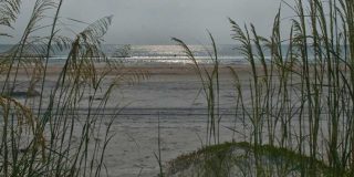 Anastasia State Park Seaoats and Dunes by Robert Vazquez