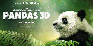 Pandas 3D Special Event at IMAX