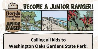 Become A Junior Ranger!