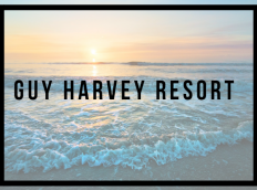 Guy Harvey Resort Featured Photo